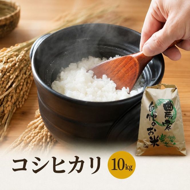 【ふるさと納税】コシヒカリ 米 定期便 5kg 10kg 選べる 令和8年産 新米 先行予約 白米 精米 一等米 単一原料米 3ヶ月 6ヶ月 3回 6回 5キロ 10キロ お米 おこめ こめ ご飯 こしひかり 産地直送 福井県産 福井県　若狭町