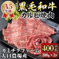 isa690 鹿児島県(カミチクファーム 大口農場)産 黒毛和牛カルビ焼肉(計400g・200g×2パック) 黒毛和牛 カルビ 焼肉 和牛 国産牛 高級肉 A5 ランク 雌牛 霜降り 旨味 口どけ 牛肉 焼肉用 BBQ バーベキュー アウトドア 冷凍 小分け 【お肉の直売所 伊佐店】