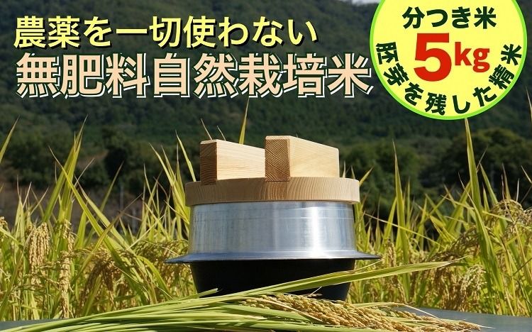 米 令和6年産[胚芽を残した精米]自然栽培米 にこまる [農薬を一切使わない無肥料栽培] 分つき米5kg・精米したて [新米 京都丹波産 無農薬米栽培向き 厳選品種] ※2024年10月中旬頃より順次発送予定