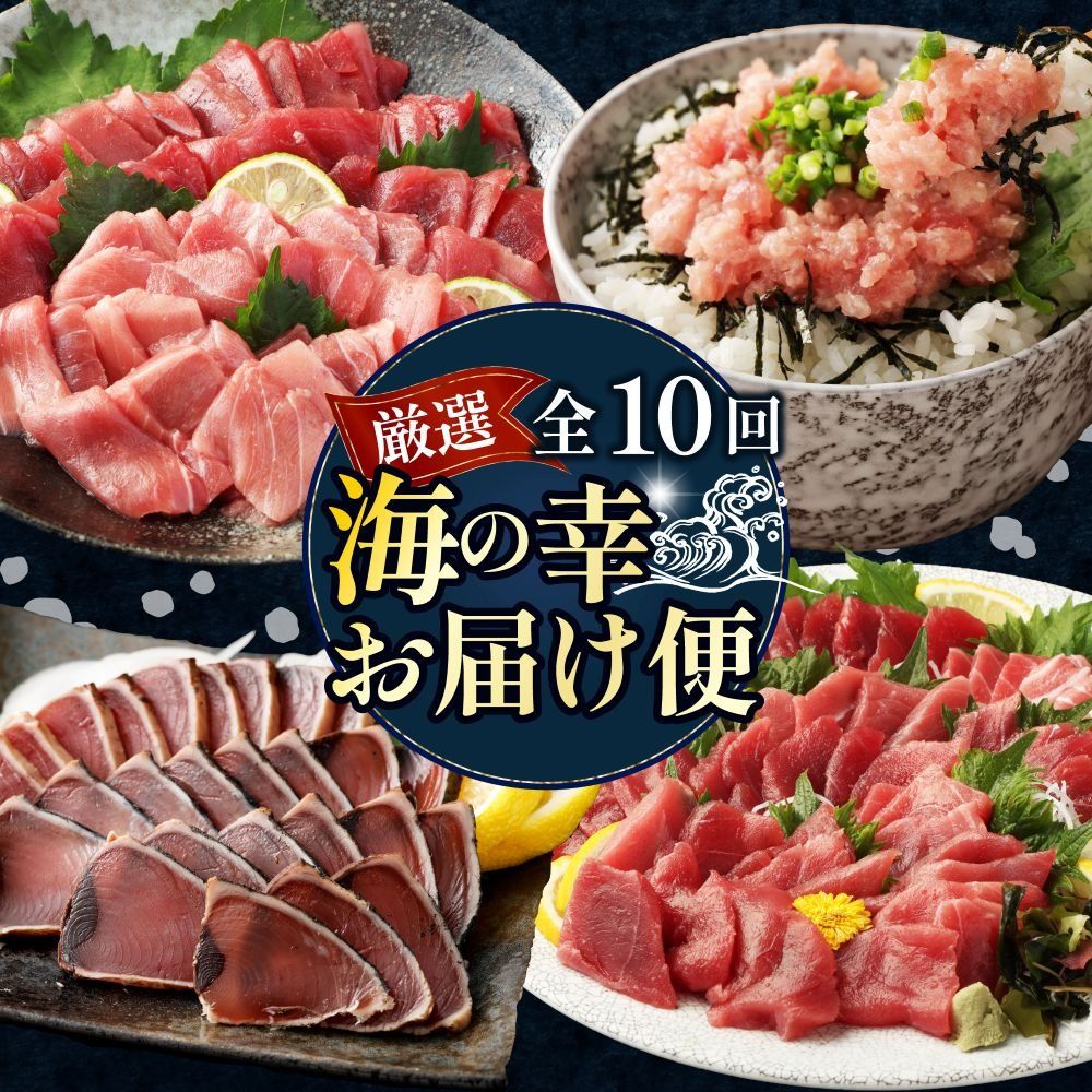 [全10回定期便] タカシン水産厳選 高知の海鮮セット 定期便 贅沢 福袋 海鮮 詰め合わせ タタキ まぐろ マグロ 本まぐろ ネギトロ かつお カツオ かつおのたたき タタキ 魚介 高知 室戸 all