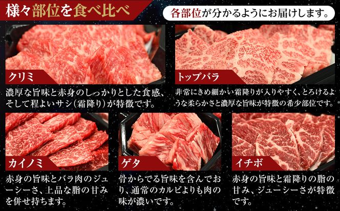北海道産星空の黒牛 厳選5種BBQセット1kg【 肉 にく ニク 牛肉 牛肉赤身 赤身 牛肉セット バーベキュー 冷凍牛肉 贅沢牛肉 国産牛肉 北海道産牛肉 道産牛肉 簡単 お手軽 特製牛肉 標茶町 北海道 】 016641_AD045