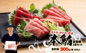 本まぐろ 大とろ 中とろ 赤身 詰合せ 約300g 本鮪 [ PT0014-000013]