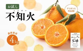 【先行予約】Saito Orange Farmの不知火4kg ｜ 柑橘 みかん ミカン フルーツ 果物 でこぽん デコポンと同品種 愛媛　※離島への配送不可　※2025年3月中旬頃より順次発送予定