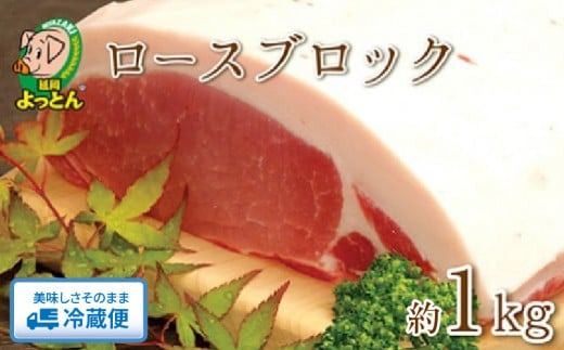 y{茧szƂ [XubN1kg N003-YA966