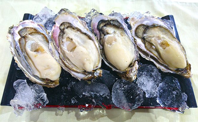 カキ 生食用 北海道 厚岸産 殻かき カキエモン LLサイズ  20個 牡蠣 魚貝類 生牡蠣 殻付き牡蠣 カキ ブランド