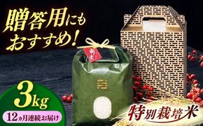 【全12回定期便】とくべつの中のとくべつ  特別栽培米  夢つくし 3kg 【築上町】 / itoshimacco / 株式会社やました[ABEX004]