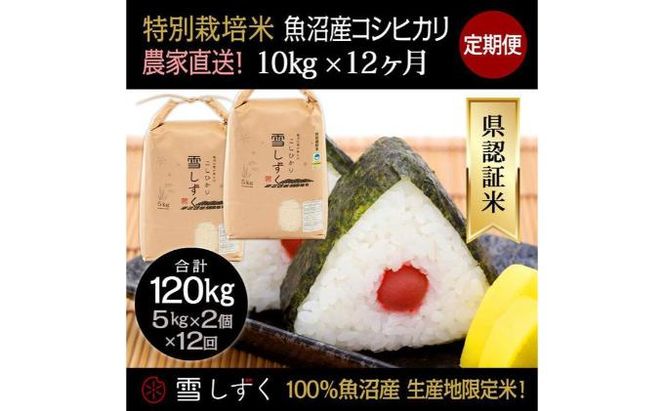 【令和8年産】定期便！農家直送！県認証特別栽培魚沼産コシヒカリ【合計120kg】毎月10kg×12回 精米 ご飯 ブランド米 銘柄米