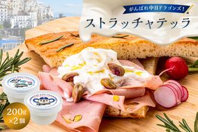 がんばれ中日ドラゴンズ！ストラッチャテッラ2個【中日ドラゴンズコラボ】【0073-073】
