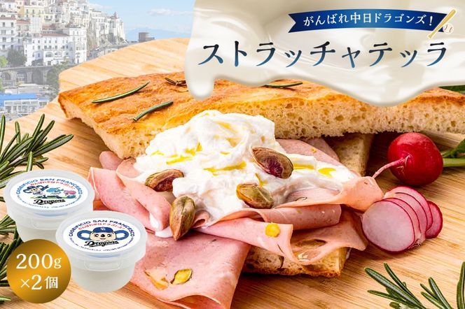 がんばれ中日ドラゴンズ！ストラッチャテッラ2個【中日ドラゴンズコラボ】【0073-073】