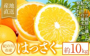 八朔 約10kg ｍ＆ｎ果実園《2027年1月下旬-3月中旬頃出荷》和歌山県 紀の川市 果物 フルーツ はっさく 柑橘類 送料無料---wsk_mnk1_h13_23_13000_10kg---