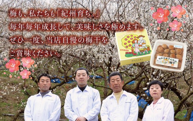 紀州南高梅　かつお【ハチミツ入】 塩分5%（1.5kg）なかやまさんちの梅干 【nky007-215k】