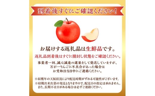 【先行予約：2026年10月中旬より発送】訳アリ りんご（レッドゴールド）2.8kg【北海道余市町産】_Y103-0084