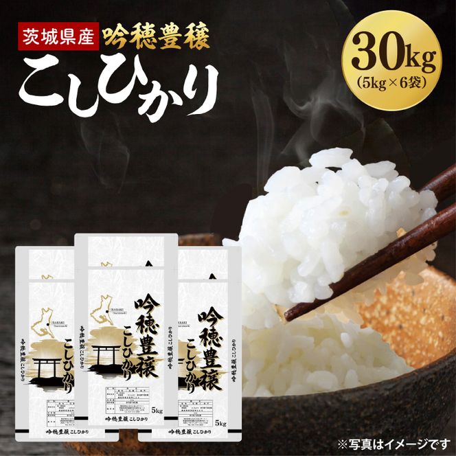 ＜令和8年産 ＞新米 吟穂豊穣こしひかり 30kg(5kg×6袋)コシヒカリ こしひかり 米 ごはん コメ お米 白米 国産 茨城県産