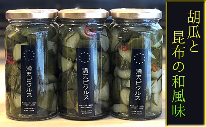 満天ピクルスおまかせ3本セット 漬物 缶詰 加工食品 