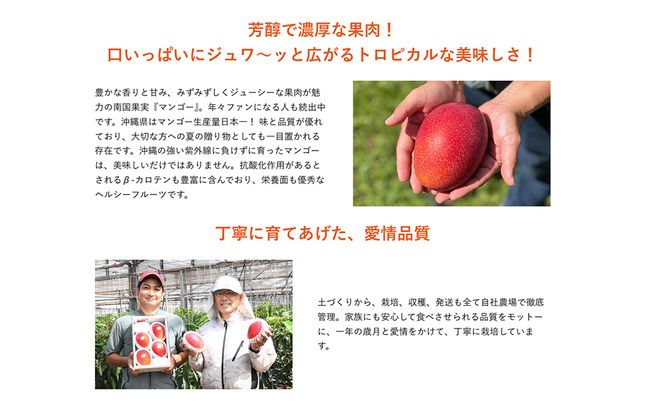 最高級マンゴー　宝珠２kg 【熱帯資源植物研究所】