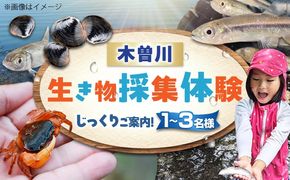 木曽川の生き物採集体験 1〜3名まで 体験 チケット 採集 愛西市 / 艶麗[AEDD007]