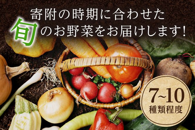 京の旬野菜セットS（栽培期間中農薬・化学肥料不使用）<アスカ有機農園>　AY00004