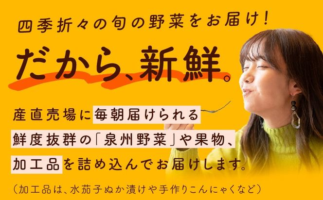 099H4172 旬の野菜セット 詰め合わせ 5種類 国産 新鮮 お試し おまかせ お楽しみ