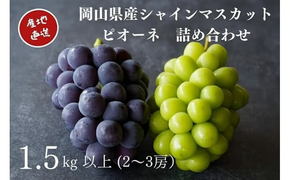 【2026年先行予約】厳選 岡山県産 シャインマスカット・ピオーネ 詰合せ 1.5㎏以上 2～3房 産地直送 朝採れ / ぶどう 葡萄 フルーツ 先行予約 真庭市【kgftmt009-02】