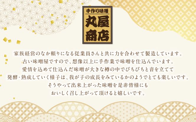 ヒナグみそ 5個セット（麦みそ×2、米みそ、田舎みそ、合わせみそ） 麦味噌 米味噌 合わせ味噌 ミソ 味噌 調味料 セット 詰め合わせ 麹 こうじ  熊本県 八代市