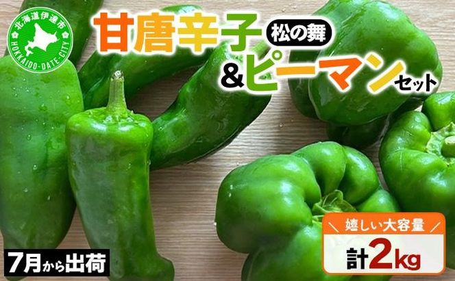 ＜先行予約＞北海道伊達産 大滝農園 甘唐辛子「松の舞」・ピーマン セット 約計2kg 野菜