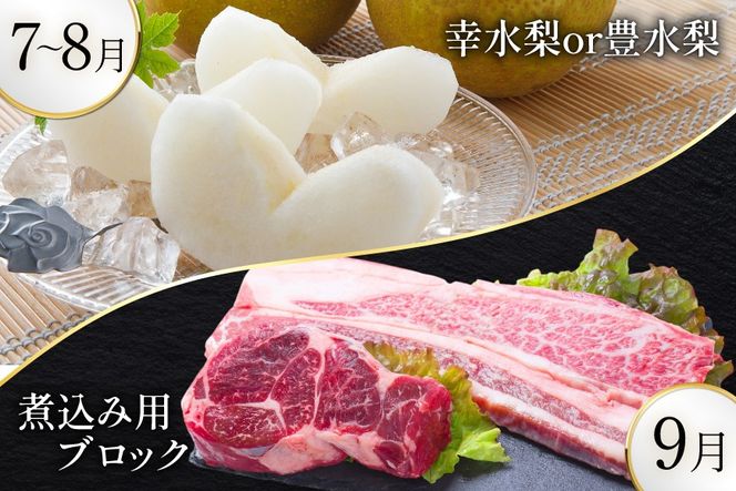 AJ699 【8回定期便】 夏のフルーツと長崎和牛 定期便 [ 果物 フルーツ びわ すいか 小玉スイカ メロン 赤肉メロン ナシ 梨 長崎和牛 定期便 和牛 お肉 肉 牛 牛肉 国産 ステーキ 焼肉 焼き肉 もも モモ バラ肉 スネ肉 ブロック すき焼き サーロイン トモサンカク シキンボ 贅沢宝庫 長崎県 島原市 ]
