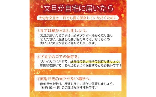 数量限定 訳あり 土佐文旦 9kg 10000円 みかん 文旦 ぶんたん 国産 家庭用 産地直送 農家直送 期間限定 ビタミン 特産品 人気 限定 さわやか 甘い フルーツ 果物 果実 柑橘 蜜柑 糖度 果樹園 おいしい 愛媛 みかん ブランド オレンジ 大小 サイズ ミックス ゼリー ジュース 人気 限定 先行 予約 事前 受付 愛南町 愛媛県 吉田農園