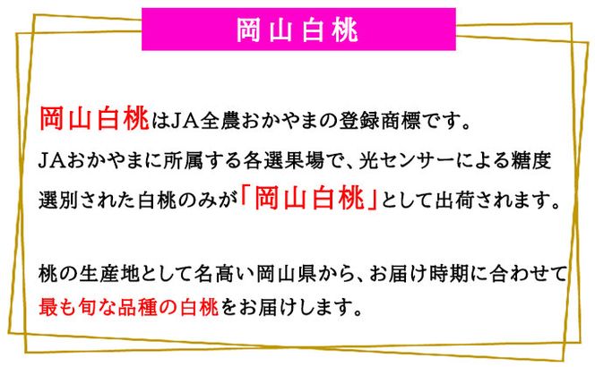 桃 2026年 先行予約 岡山 白桃 ロイヤル 8～16玉 4.0kg 岡山県産 JAおかやまのもも モモ 岡山県産 国産 フルーツ 果物 ギフト 