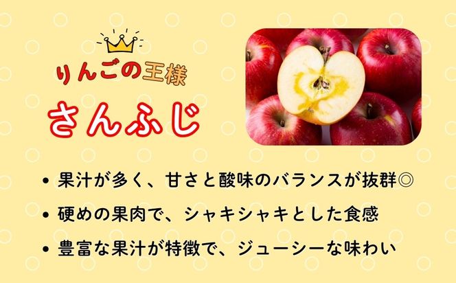 【先行予約】サンふじ 小玉 約3kg （10〜14玉）（2025年12月中旬から発送）りんご サンふじ 限定 直送 小玉 好評 (7-A42-1)