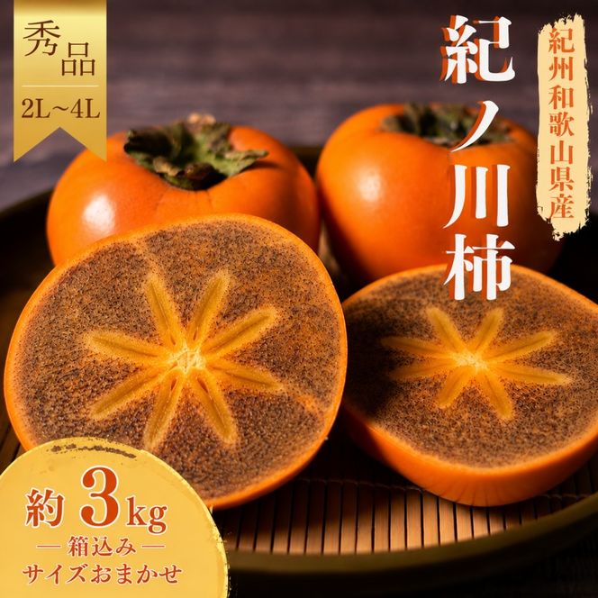 紀ノ川柿  約3kg2L~4L(サイズおまかせ) 秀品 / カキ 甘い 美味しい 紀美野町産 ※2026年10月中旬～11月上旬に順次発送 【frt504-r-kino-3】