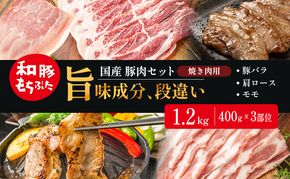 和豚もちぶた お試しセット 焼肉用 1200g 400g×3部位 3～4人世帯向け 豚バラ 肩ロース モモ