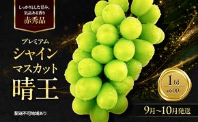 ぶどう 2026年 先行予約 赤秀ぶどう プレミアム シャインマスカット 晴王 1房 600g 9月～10月発送 船穂産 赤秀品 皮ごと食べる みずみずしい 糖度保証 岡山県産 満天フルーツ