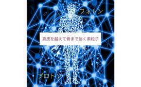 究極の美肌エステ 利用券 体験 美容 