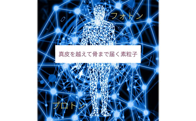 究極の美肌エステ 利用券 体験 美容 