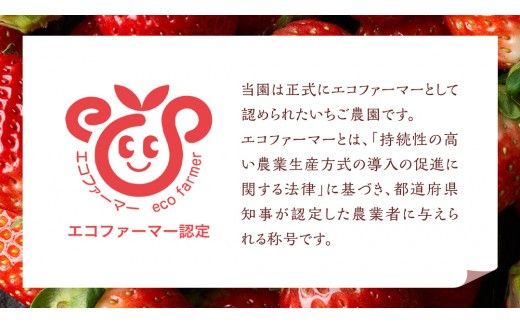 【 茨城いちごグランプリ 受賞 農園 】 完熟 いちご 2品種 食べ比べ セット 茨城県オリジナル品種 イチゴ 苺 フルーツ 果物 果実 いばらキッス ひたち姫 [DY002ci]