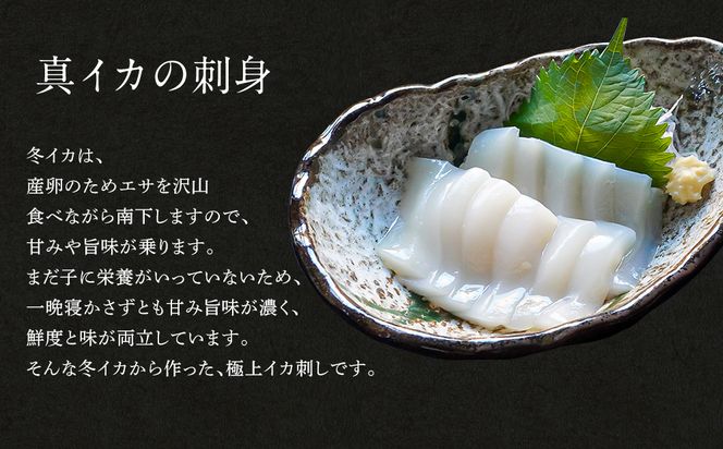 【2026年11月下旬発送】訳あり 漁師町鹿部のイカ尽くしセット 全5品 いか イカ 詰め合わせ セット