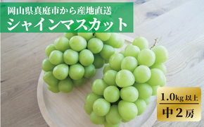 【2026年先行予約】食べ切サイズ シャインマスカット 中２房/計1.0kg~ (岡山県産) 【KF-B078-03】