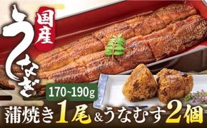 【年内発送】うなぎ 蒲焼き 1尾 ＆ うなむす 2個 セット 糸島市 / 北ノ屋うなぎ [ACL006] うなぎ 鰻 ウナギ 蒲焼き 白焼き 国産 蒲焼 タレ セット 詰め合わせ 贈答