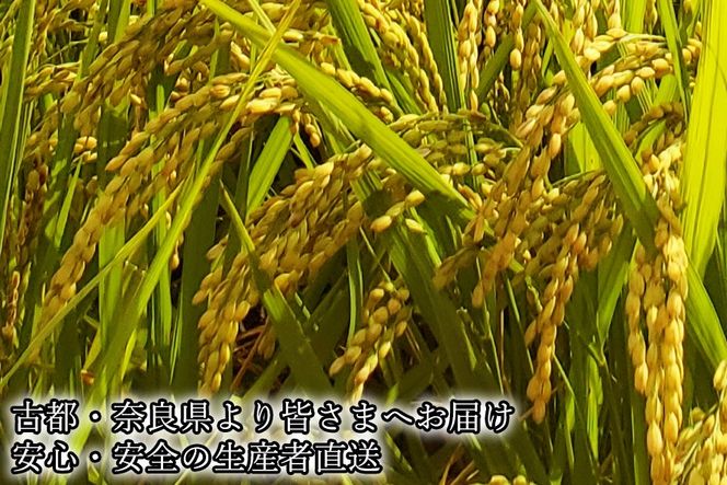 広陵町産ヒノヒカリ白米10kg 私たちも食べている安心安全のヒノヒカリを皆様にお届け /// 米 白米 10kg ヒノヒカリ ひのひかり