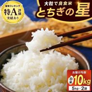 ＼先行予約・令和8年産／山﨑観光農園のお米　とちぎの星　白米10kg｜ 益子町 お米 白米 精米 令和8年 10kg（AU047）