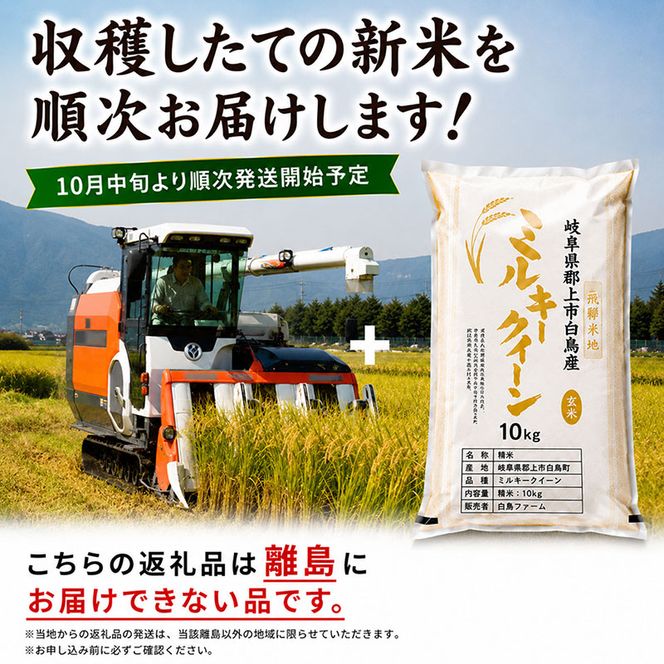 飛騨牛 牛肉 切り落とし 500g×4 計2kg A5 和牛 焼肉 もも肉 モモ バラ カルビ お肉 ブランド和牛 