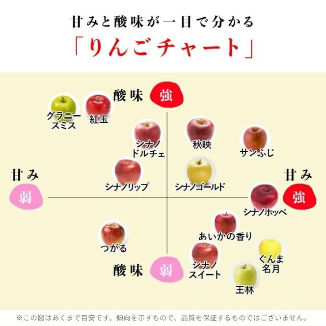 【2026年11月発送】ぐんま名月 秀品 約3kg 7～11玉 りんご 果物 信州 長野