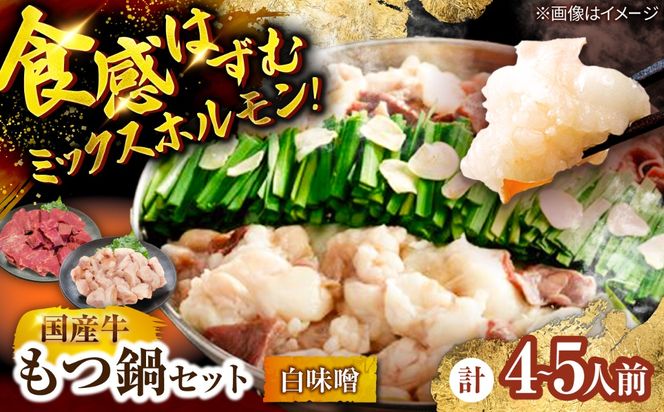 もつ鍋セット(白味噌/4-5人前)《築上町》【吉浦コーポレーション】 もつ鍋 博多もつ鍋 味噌 国産牛[ABFF020]