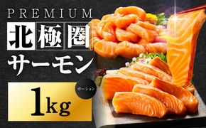 015B288 北極圏サーモン ポーション 1kg【高級 小分け 海鮮丼 人気 オススメ 小分け 冷凍 簡単調理 一人暮らし】