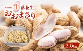 落花生 福岡県産 生落花生 おおまさり 2.5kg ※配送不可:離島