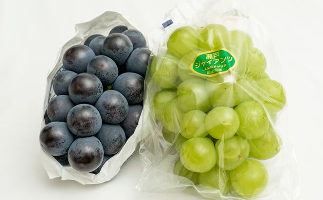 フルーツ 定期便 2026年 先行予約 フルーツ王国 岡山の果物 5回コース 夏～冬物語 桃 もも 葡萄 ぶどう 梨 なし岡山県産 国産 果物 セット ギフト 