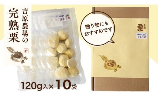 【 吉原農場 の 完熟栗 】 熟成 生むき栗 10袋 ( 120g × 10袋 ) 令和7年産 完熟 栗 くり クリ 栗ごはん 贈答 ギフト 果物 フルーツ 数量限定 旬 秋 冬 正月 おせち [CX018ci]