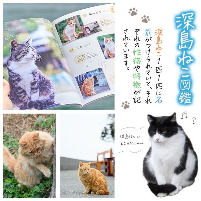 深島ねこ図鑑vol.3 (1冊) 猫 ねこ 写真集 本 雑誌 書籍 深島 猫の島 グッズ 大分県 佐伯市 【HD238】【さいき本舗 城下堂】