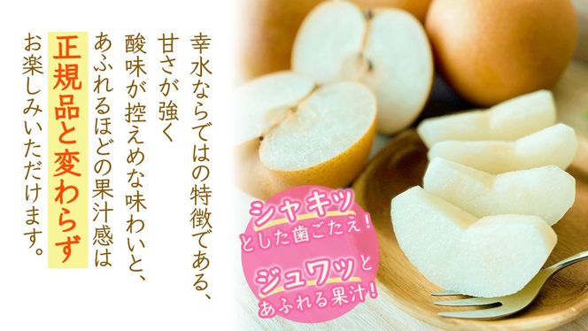 ＜ 訳あり ＞ 幸水 約5kg 【2026年8月より発送開始】（茨城県共通返礼品 [梨]：大子町産） ご家庭用 フルーツ なし ナシ 和梨 梨 わけあり 果実 旬のフルーツ お取り寄せ くだもの 果物 みずみずしい