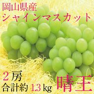 ぶどう 2026年 先行予約 9月・10月発送 シャインマスカット 晴王 2房（合計約1.3kg） ブドウ 葡萄 岡山県産 国産 フルーツ 果物 ギフト